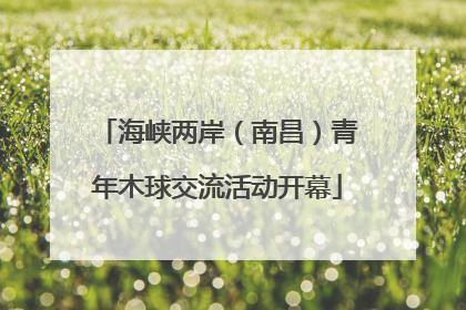 海峡两岸（南昌）青年木球交流活动开幕