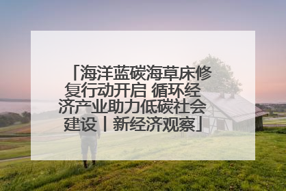海洋蓝碳海草床修复行动开启 循环经济产业助力低碳社会建设丨新经济观察