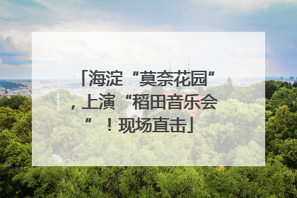 海淀“莫奈花园”，上演“稻田音乐会”！现场直击