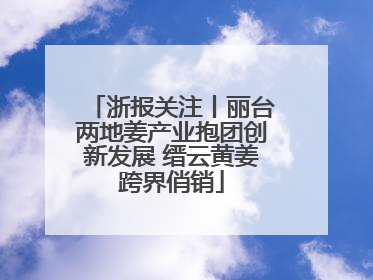 浙报关注丨丽台两地姜产业抱团创新发展 缙云黄姜跨界俏销