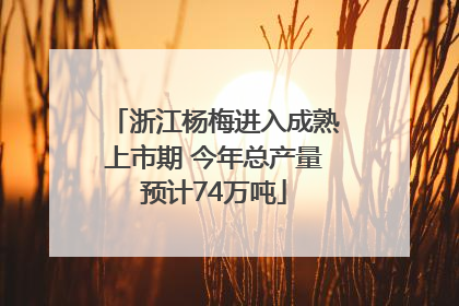 浙江杨梅进入成熟上市期 今年总产量预计74万吨