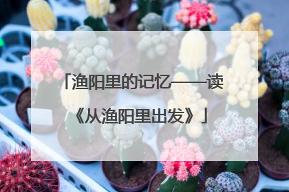 渔阳里的记忆——读《从渔阳里出发》
