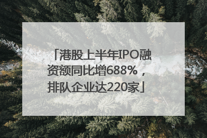 港股上半年IPO融资额同比增688%，排队企业达220家