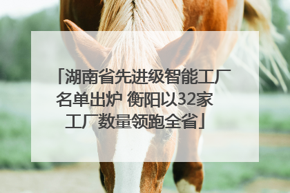 湖南省先进级智能工厂名单出炉 衡阳以32家工厂数量领跑全省