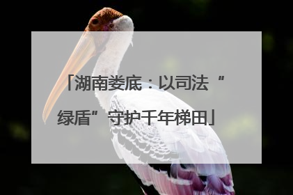 湖南娄底：以司法“绿盾”守护千年梯田