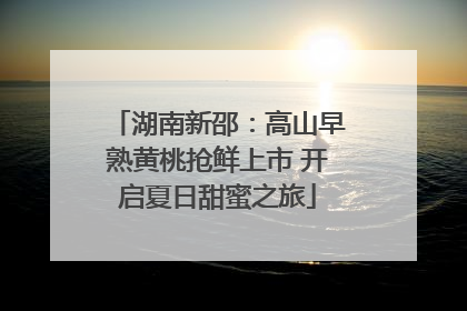 湖南新邵：高山早熟黄桃抢鲜上市 开启夏日甜蜜之旅