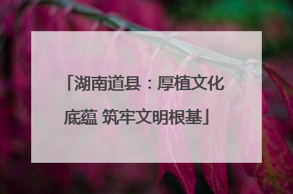 湖南道县：厚植文化底蕴 筑牢文明根基