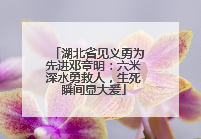 湖北省见义勇为先进邓章明：六米深水勇救人，生死瞬间显大爱