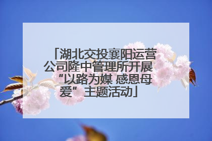 湖北交投襄阳运营公司隆中管理所开展“以路为媒 感恩母爱”主题活动