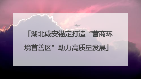 湖北咸安锚定打造“营商环境首善区”助力高质量发展