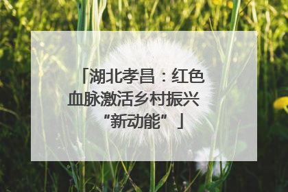 湖北孝昌：红色血脉激活乡村振兴“新动能”