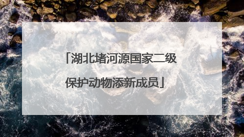 湖北堵河源国家二级保护动物添新成员