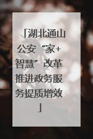 湖北通山公安“家+智慧”改革推进政务服务提质增效