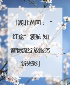 湖北黄冈：“红途”领航 知音物流绽放服务新光彩