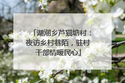 湖潮乡芦猫塘村：夜访乡村巷陌，驻村干部情暖民心