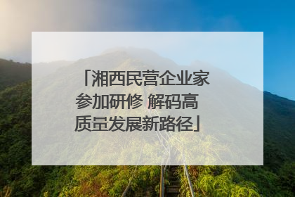 湘西民营企业家参加研修 解码高质量发展新路径