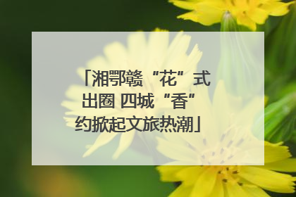 湘鄂赣“花”式出圈 四城“香”约掀起文旅热潮