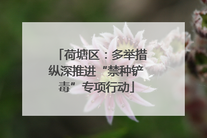 荷塘区：多举措纵深推进“禁种铲毒”专项行动