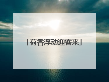 荷香浮动迎客来