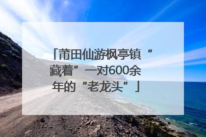 莆田仙游枫亭镇“藏着”一对600余年的“老龙头”