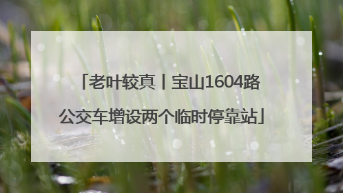 老叶较真丨宝山1604路公交车增设两个临时停靠站