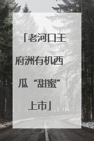 老河口王府洲有机西瓜“甜蜜”上市
