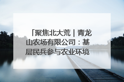 聚焦北大荒｜青龙山农场有限公司：基层民兵参与农业环境综合治理显效