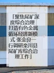 聚焦尾矿深度综合治理 打造有色金属循环经济新模式 张金良一行调研栾川县尾矿库综合治理工作