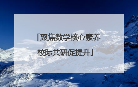 聚焦数学核心素养 校际共研促提升