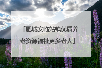 肥城安临站镇优质养老资源福祉更多老人