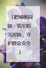 肥城桃园镇：筑牢防汛屏障，守护群众安全