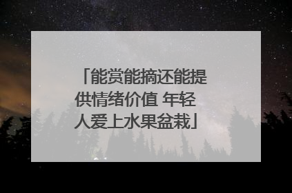 能赏能摘还能提供情绪价值 年轻人爱上水果盆栽