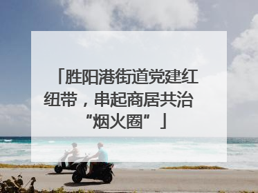 胜阳港街道党建红纽带，串起商居共治 “烟火圈”