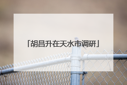 胡昌升在天水市调研