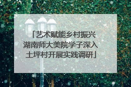 艺术赋能乡村振兴 湖南师大美院学子深入土坪村开展实践调研