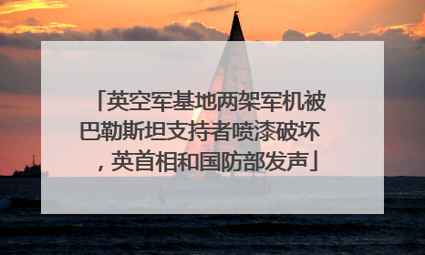英空军基地两架军机被巴勒斯坦支持者喷漆破坏，英首相和国防部发声
