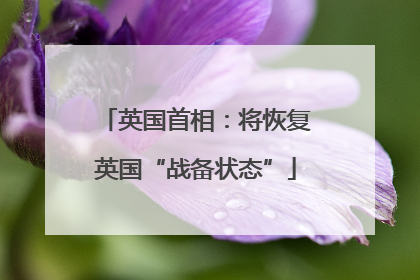 英国首相：将恢复英国“战备状态”