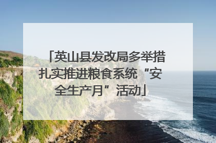 英山县发改局多举措扎实推进粮食系统“安全生产月”活动