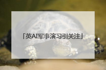英AI军事演习引关注