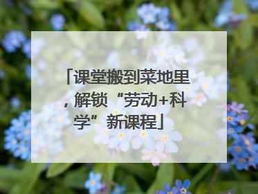 课堂搬到菜地里，解锁“劳动+科学”新课程