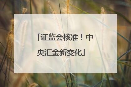证监会核准！中央汇金新变化