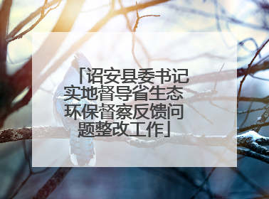 诏安县委书记实地督导省生态环保督察反馈问题整改工作
