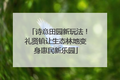 诗意田园新玩法！礼贤镇让生态林地变身惠民新乐园