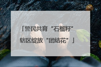 警民共育“石榴籽” 辖区绽放“团结花”