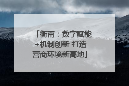 衡南：数字赋能+机制创新 打造营商环境新高地
