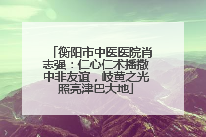 衡阳市中医医院肖志强：仁心仁术播撒中非友谊，岐黄之光照亮津巴大地