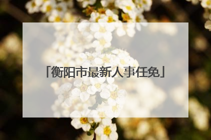衡阳市最新人事任免