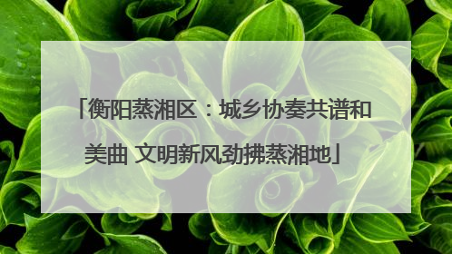 衡阳蒸湘区：城乡协奏共谱和美曲 文明新风劲拂蒸湘地