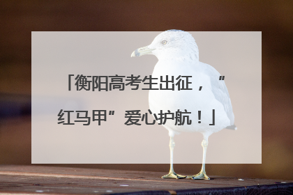 衡阳高考生出征，“红马甲”爱心护航！