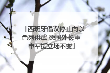 西班牙倡议停止向以色列供武 德国外长重申军援立场不变